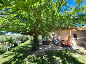 FINCA EN OLITE CON FRUTALES / HUERTA Y OLIVOS