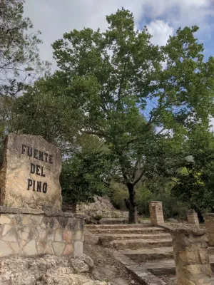 Finca rústica en Fuente del Pino, Navarrés