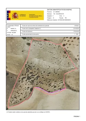 FINCA RUSTICA RECREO MADRID