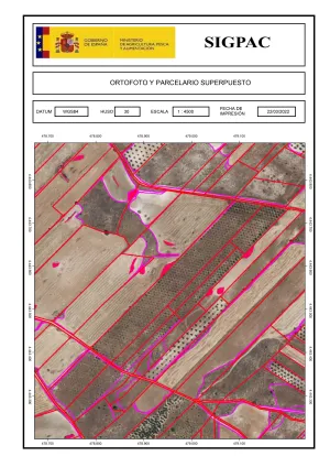 VENTA 20 HA LABOR SECANO