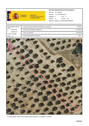 VENTA PARCELA OLIVAR