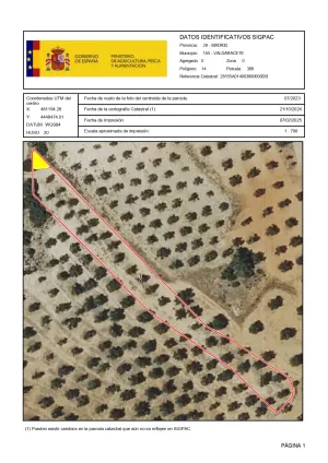 VENTA PARCELA OLIVAR