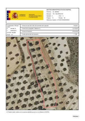 VENTA PARCELA OLIVAR