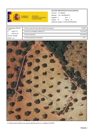 VENTA PARCELA OLIVAR