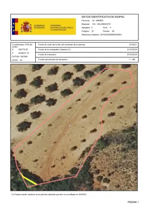 VENTA PARCELA OLIVAR
