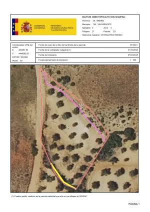VENTA PARCELA OLIVAR