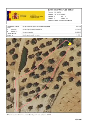 VENTA PARCELA OLIVAR