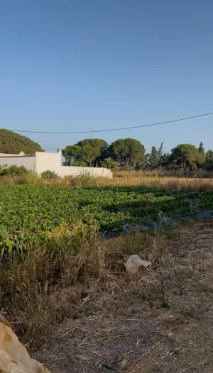 SE VENDE TERRENO RUSTICO CONIL - ROCHE