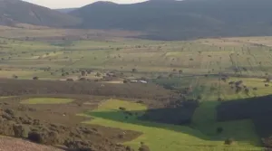 Finca de 122 Has de Tierra de Labor y Monte