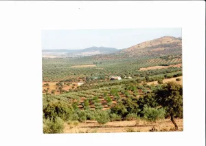 Finca para Producción Agrícola y Ganadera