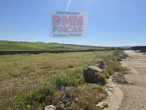 Cebadero de terneros