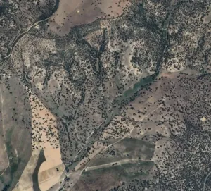 Finca con robledal en la dehesa salmantina