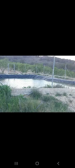 Finca agricola