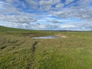 Se alquila finca con cebadero con licencia