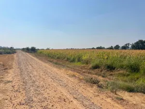 1km Fruival