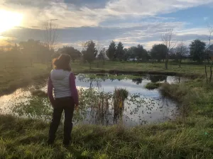 Finca rústica de 2ha con luz, pozo y rio
