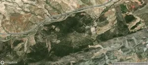 Se vende finca forestal de 92 Ha.