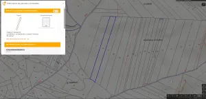 Lote de tierras de secano + olivar
