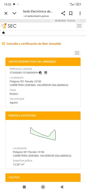 Parcela regadio