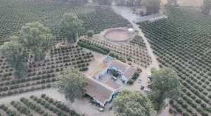 Exclusiva finca en Lomas de Pichardo