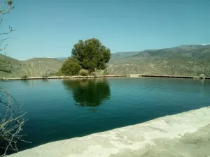 Gran finca con opciones diversas en Almería