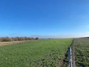 Finca de 550 hectáreas en Toledo
