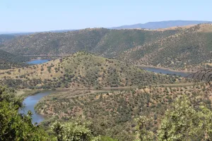 FINCA GANADERA Y CINEGETICA EN JAEN - 1531
