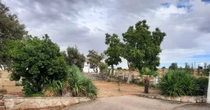 Finca rustica con edificaciones,  Salamanca