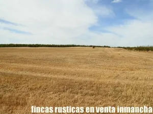 finca en venta 220 has. labor-secano-riego
