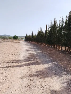 finca 6HA con vallado perimetral, casa, pozo