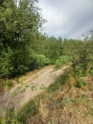 Finca agrícola Tarazona [Zaragoza]