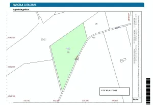 Parcela de olivos de secano de 13.831 m2