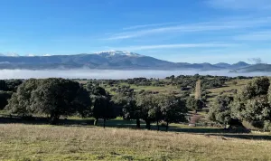 Finca rústica con encinas, agua y casetas