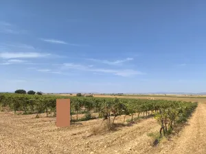Finca de 8.3 Hectáreas regadío