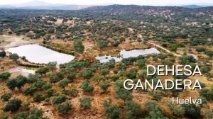 Dehesa ganadera en venta en Huelva