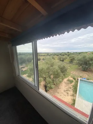 Finca rústica con casa, piscina y olivos