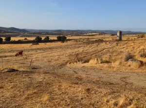 Arriendo para renovables, fotovoltaica