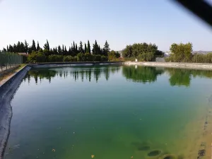 4. Finca premium en plena Costa del Sol