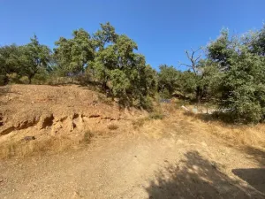 FINCA EN LA NAVA