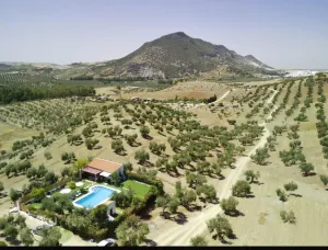 Venta de finca en Moron de la Frontera