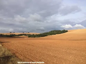 finca en venta 1309 Has. labor caza menor