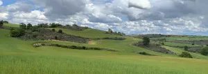 Fincas rústicas en Fuentelencina