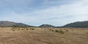 Finca rústica en Tobarra