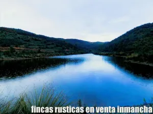 finca en venta 216 has. Recreo Ganadera
