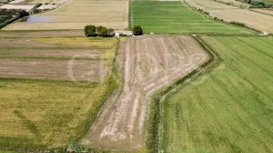 En venta finca agrícola de regadío en Huesca