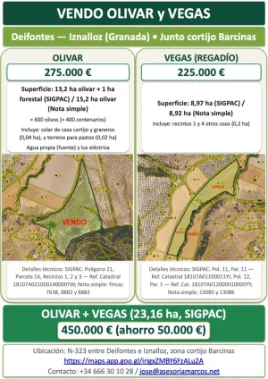 Vendo olivar y vegas (Deifontes-Iznalloz-GR)