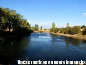 finca en venta 350 has. labor secano olivar