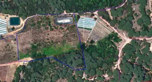FINCA EN VENTA REGADIO