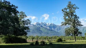 Dehesa para construir en Sierra de Gredos