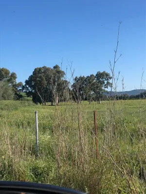Finca agrícola ganadera